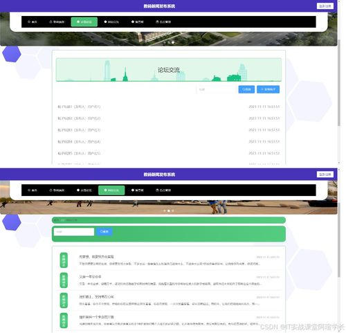 计算机毕设设计项目 精品基于net实现的数码新闻发布系统