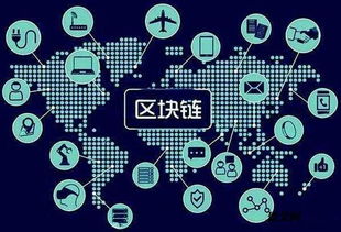 莱卡星球软件系统开发